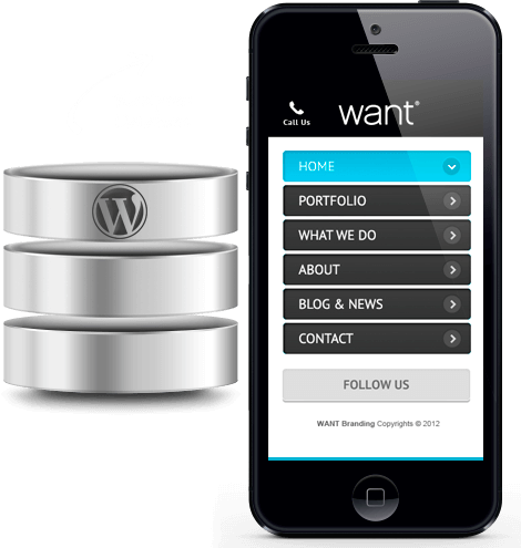 wordpress database